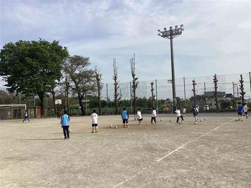 Image (1)