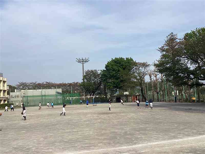Image (3)