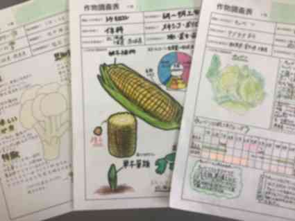 画像3