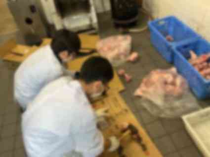 画像1 2